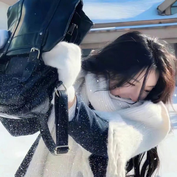 风尘艳侣