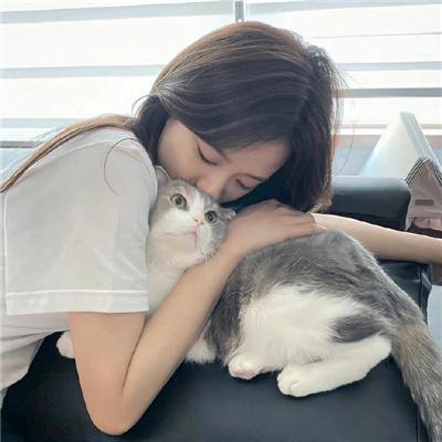 泰迪熊