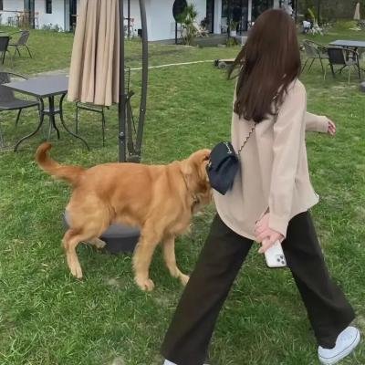 白色荣光